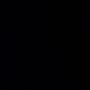 Meet your Posher, Paige